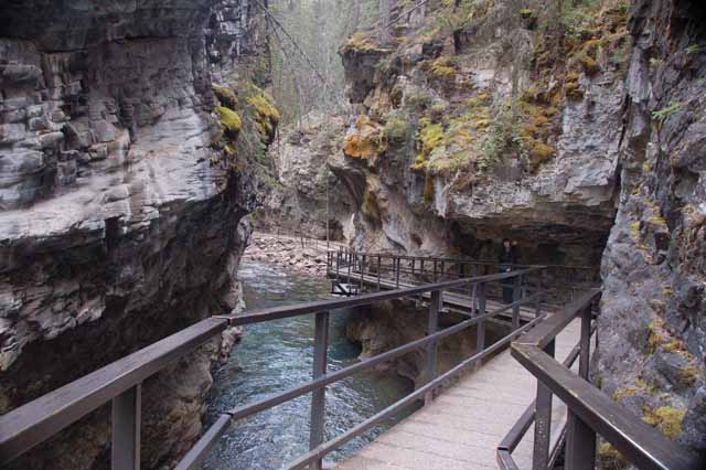 Johnston Canyon